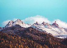 乐鱼网官网-开云体登录——轻松开启高效生活的新方式